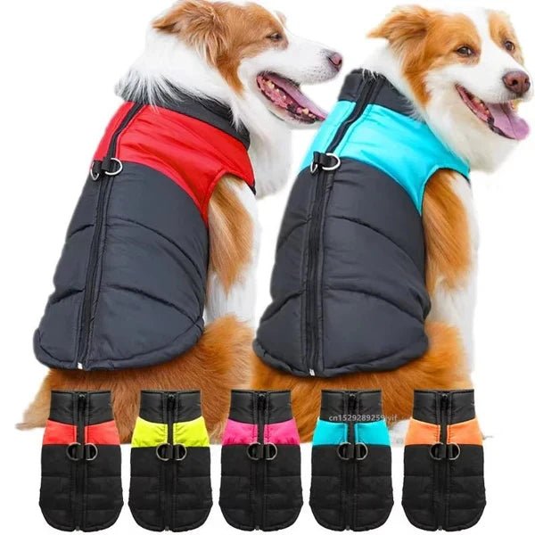 Beyond Dog Sweaters: The Smart Benefits of a Waterproof Warm Jacket for Your Pup - Checkouts UK
