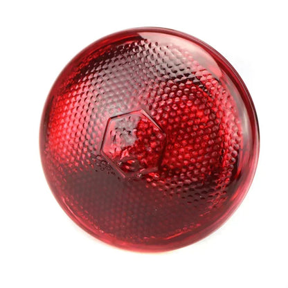 220V Poultry Heating Bulb 100/150/200/250/275W Infrared Lamp Insulation Heating for Reptiles Plants Amphibians Pets Livestock - Furbury