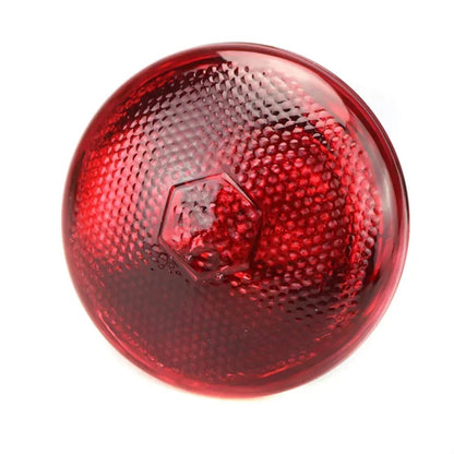 220V Poultry Heating Bulb 100/150/200/250/275W Infrared Lamp Insulation Heating for Reptiles Plants Amphibians Pets Livestock - Furbury