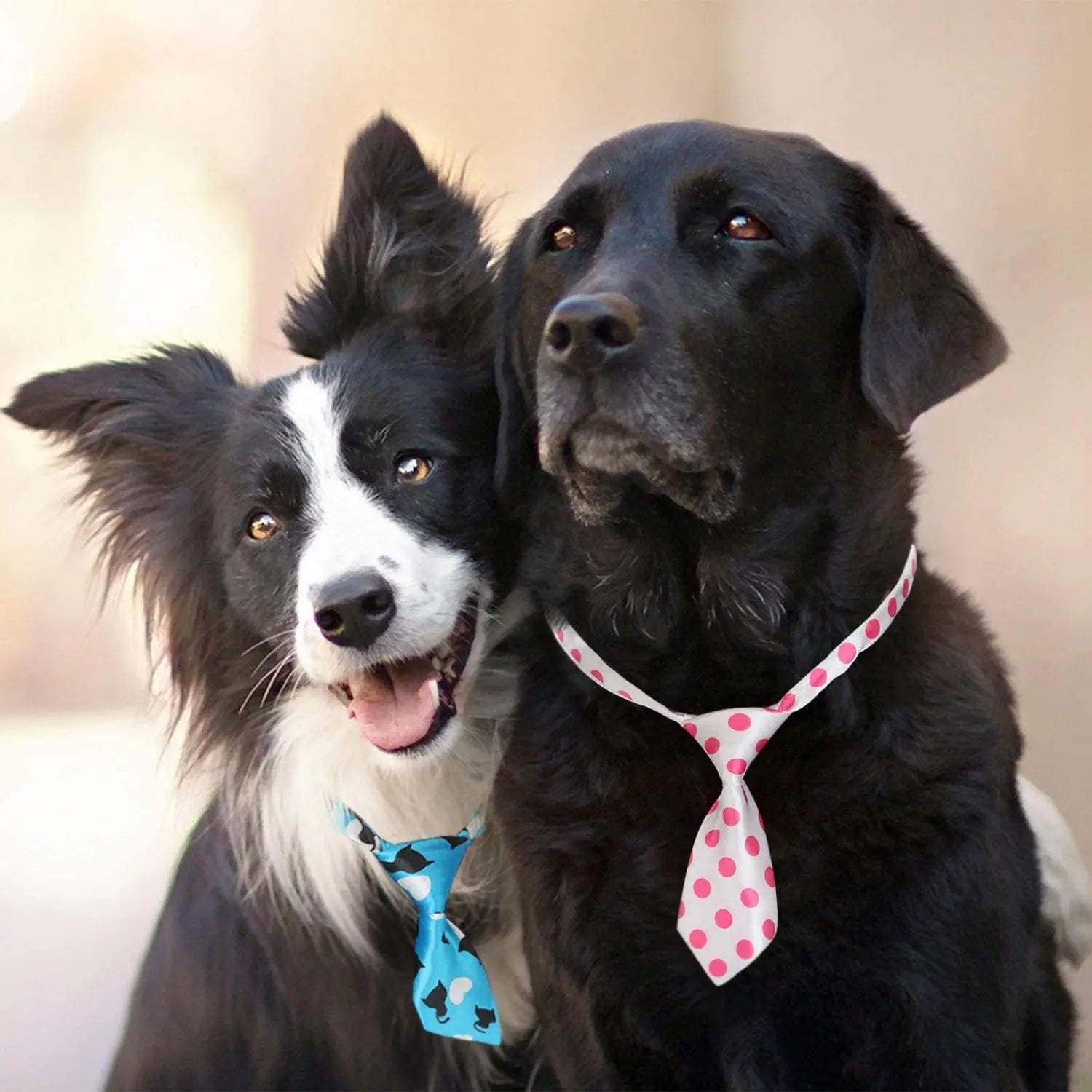 25/50/100pcs/lot Pet Cat Dog Bow Tie Lots Mix Colors Grooming Accessories Adjustable Puppy Bow Tie Products Pet Bowtie Supplies - Furbury
