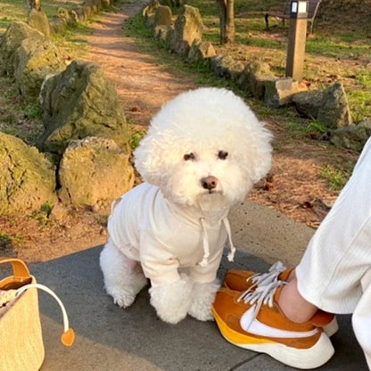 Autumn Thin Dog Hoodies Puppy Sweatshirt Chihuahua French Bulldog Clothing Solid Dog Costume Pet Dog Clothes for Dogs and Cats