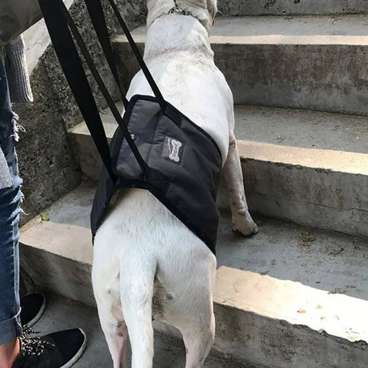 Adjustable Dog Lift Sling Harness For Back Legs Pet Support Sling Help Weak Legs Stand Up Pet Dogs Aid Assist Tool For Old Dogs - Checkouts UK