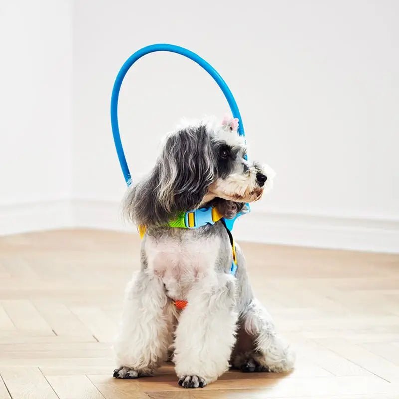 Blind Dog Harness Guiding Device Pet Safe Adjustable Blind Dog Collar Blind Dog Accessories for Small to Large Dogs - Furbury