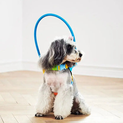 Blind Dog Harness Guiding Device Pet Safe Adjustable Blind Dog Collar Blind Dog Accessories for Small to Large Dogs - Furbury