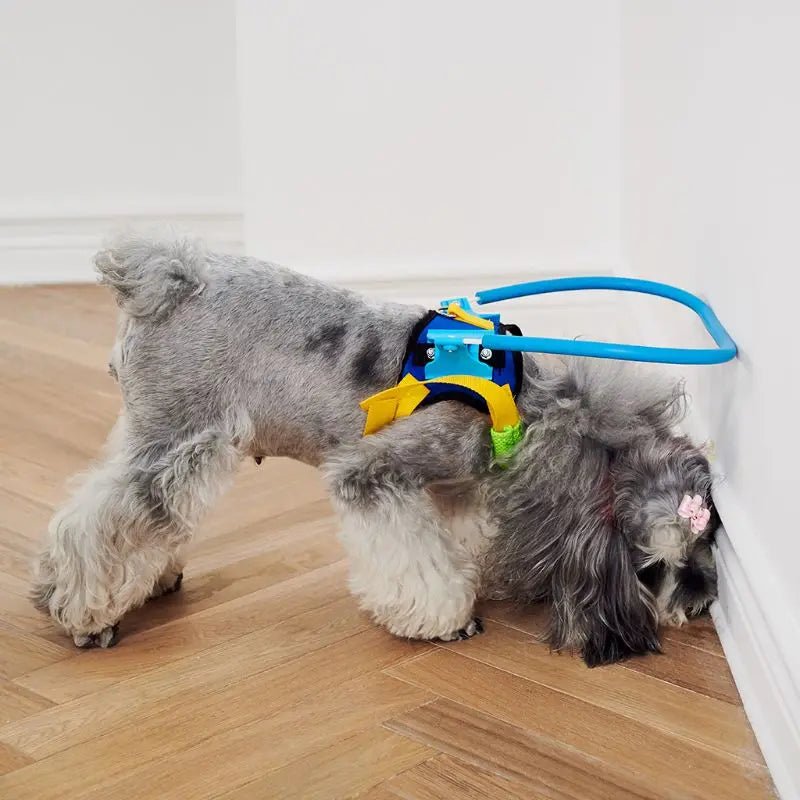 Blind Dog Harness Guiding Device Pet Safe Adjustable Blind Dog Collar Blind Dog Accessories for Small to Large Dogs - Furbury