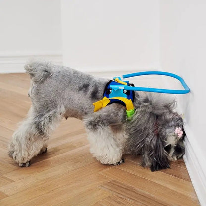 Blind Dog Harness Guiding Device Pet Safe Adjustable Blind Dog Collar Blind Dog Accessories for Small to Large Dogs - Furbury