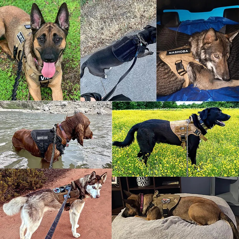Military Large Dog Harness Training Pet Vest for French Bulldog German Shepherd Malinois Tactical Harnesses For Dogs Accessories - Checkouts UK