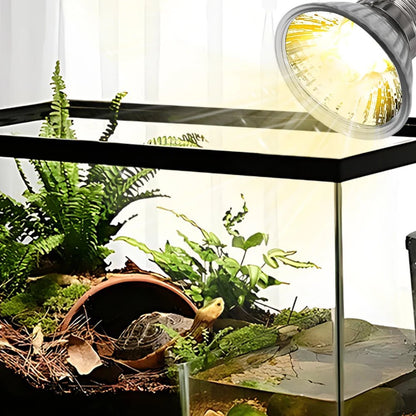 Wholesale Bulk 25/50/75W UVB Reptile Lamp Bulb Tortoise Basking UV E27 Bulbs Amphibians Pet Snake Lizard Heating Sunlamp Calcium Supplement - Furbury