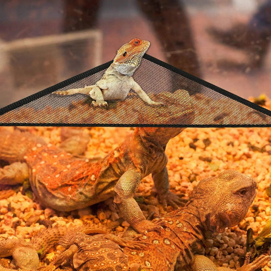 Wholesale Bulk 2Pcs Bearded Dragon Lizard Hammock - Breathable Mesh Geckos Hammock Reptile Hammock, Suitable for Lguanas, Axolotls, Anoles, Gec - Furbury