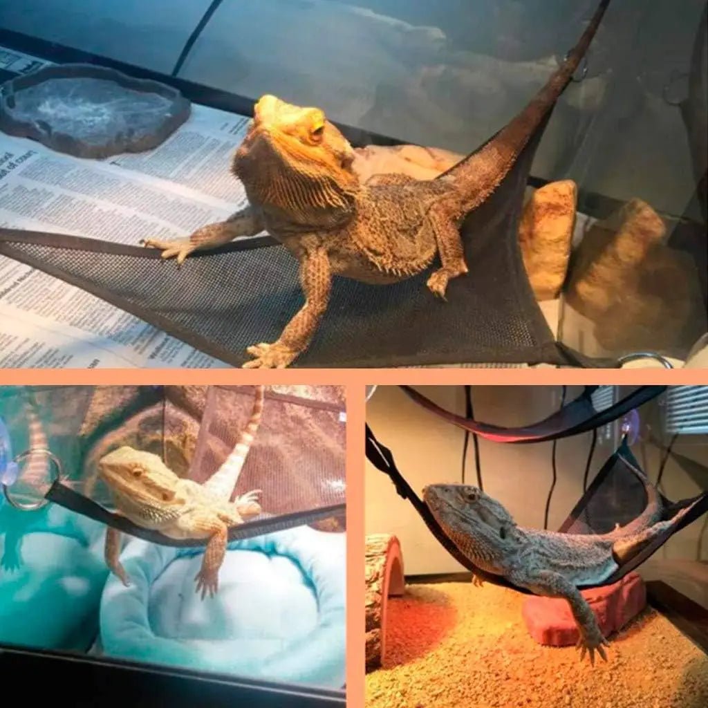 Wholesale Bulk 2Pcs Bearded Dragon Lizard Hammock - Breathable Mesh Geckos Hammock Reptile Hammock, Suitable for Lguanas, Axolotls, Anoles, Gec - Furbury