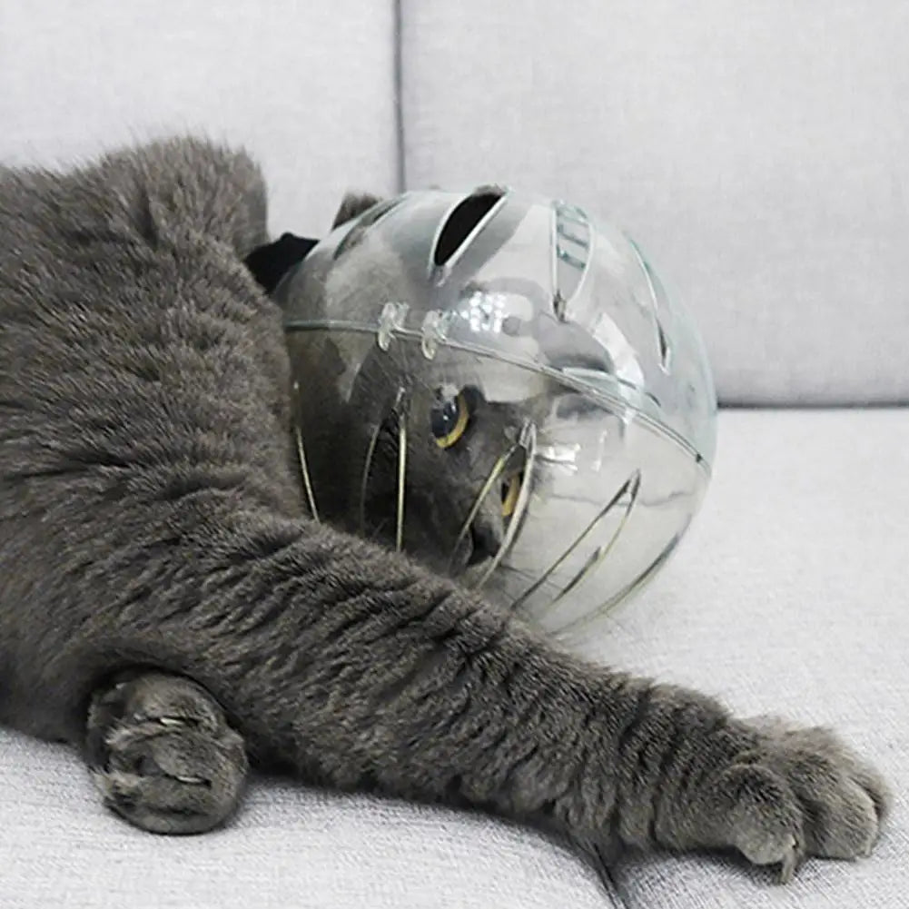 Wholesale Bulk Cat Muzzle Boots Set Anti Bite Breathable Space Hood Clear Cats Helmet With Paw Cover Portable Astronaut Helmet For Grooming ﻿ - Furbury