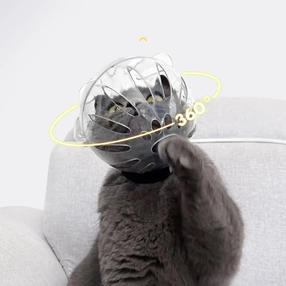 Wholesale Bulk Cat Muzzle Boots Set Anti Bite Breathable Space Hood Clear Cats Helmet With Paw Cover Portable Astronaut Helmet For Grooming ﻿ - Furbury