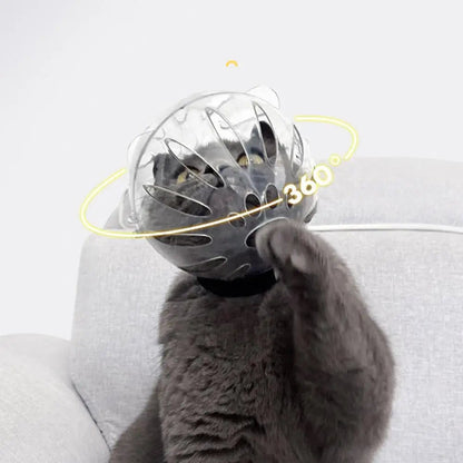 Wholesale Bulk Cat Muzzle Boots Set Anti Bite Breathable Space Hood Clear Cats Helmet With Paw Cover Portable Astronaut Helmet For Grooming ﻿ - Furbury