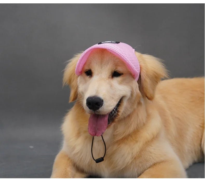 Wholesale Bulk Dog Baseball Cap Mesh Pet Dog Hat Breathable for Small Medium Dogs Ear Holes Adjustable Dog Hat Pet Accessories - Furbury