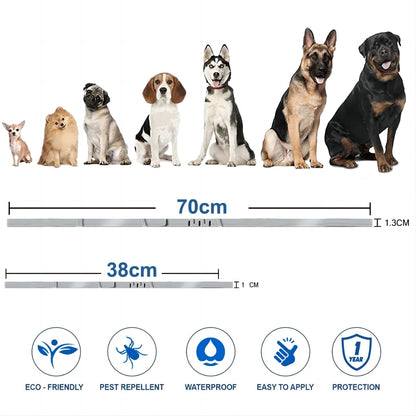 Wholesale Bulk Dog Collar Puppy Cat 70cm 38cm For Small Dogs Cats Collar Pet Items Accessories Dropshipping Suppliers - Furbury