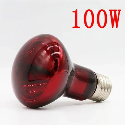 Wholesale Bulk E27 Reptile Heat Lamp 25 - 100W Amphibious Uva Red Heating Bulb Lizards Snakes Spiders Reptiles Breeding Tank Lighting Supplies - Furbury