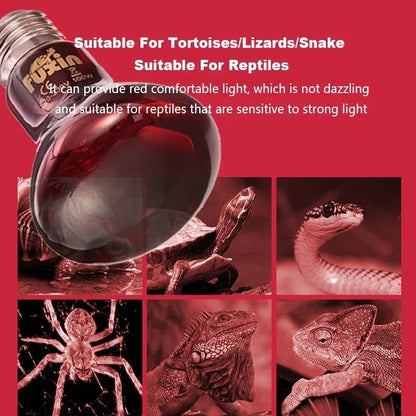Wholesale Bulk E27 Reptile Heat Lamp 25 - 100W Amphibious Uva Red Heating Bulb Lizards Snakes Spiders Reptiles Breeding Tank Lighting Supplies - Furbury