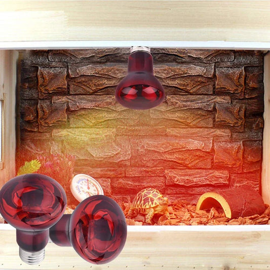 Wholesale Bulk E27 Reptile Heat Lamp 25 - 100W Amphibious Uva Red Heating Bulb Lizards Snakes Spiders Reptiles Breeding Tank Lighting Supplies - Furbury