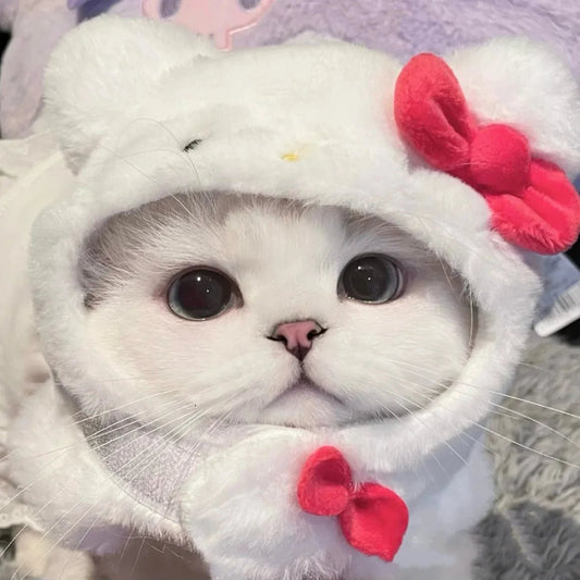 Wholesale Bulk Kawaii Sanrio Pet Hat Hello Kittys Cinnamoroll Accessories Cute Cartoon Anime Plush Puppy Cat Doll Headgear Toys for Girls Gift - Furbury