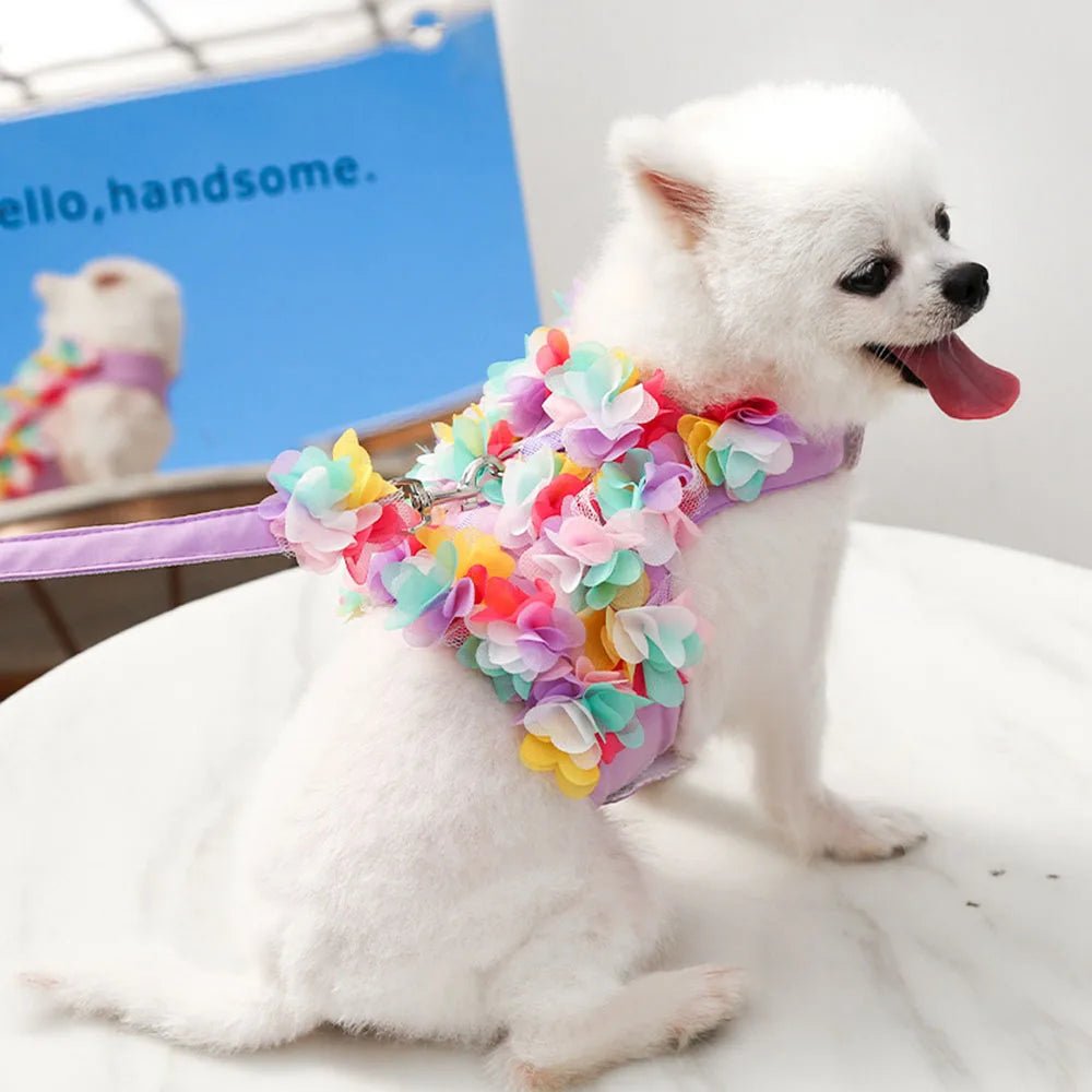 Wholesale Bulk Luxury Flower Girl Dogs Harness and Leash Set No Pull Soft Adjustable Breathable Mesh Cute Floral Puppy Pet Safety Vest Harness - Furbury