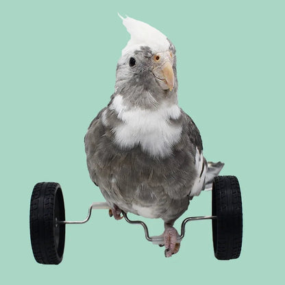 Wholesale Bulk Parrot Balance Car Deboring Toys Small And Medium - Sized Bird Supplies Roller Skateboard Skill Training Props Phoenix Bird Toys - Furbury