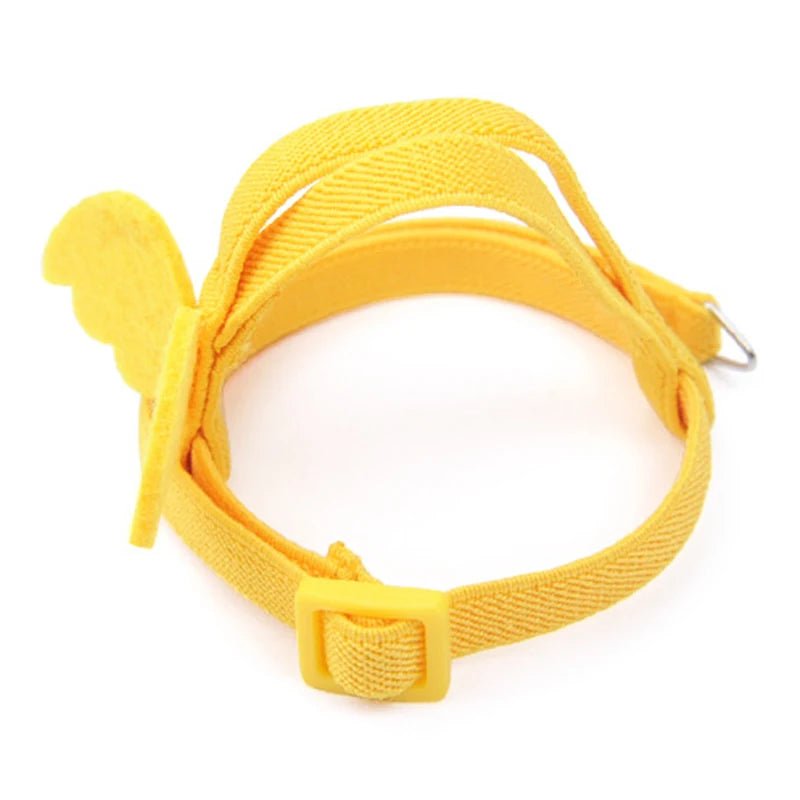 Wholesale Bulk Parrot Flying Harness Leash Suit Pet Bird Outdoor Flight Training Rope Cockatiel Supplies Macaw Accessories Stuff For Budgie - Furbury