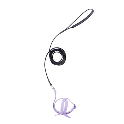 Wholesale Bulk Parrot Flying Harness Leash Suit Pet Bird Outdoor Flight Training Rope Cockatiel Supplies Macaw Accessories Stuff For Budgie - Furbury