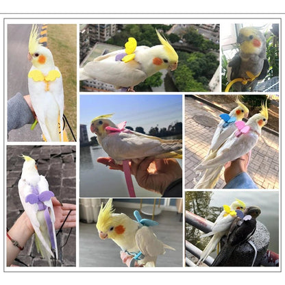 Wholesale Bulk Parrot Flying Harness Leash Suit Pet Bird Outdoor Flight Training Rope Cockatiel Supplies Macaw Accessories Stuff For Budgie - Furbury