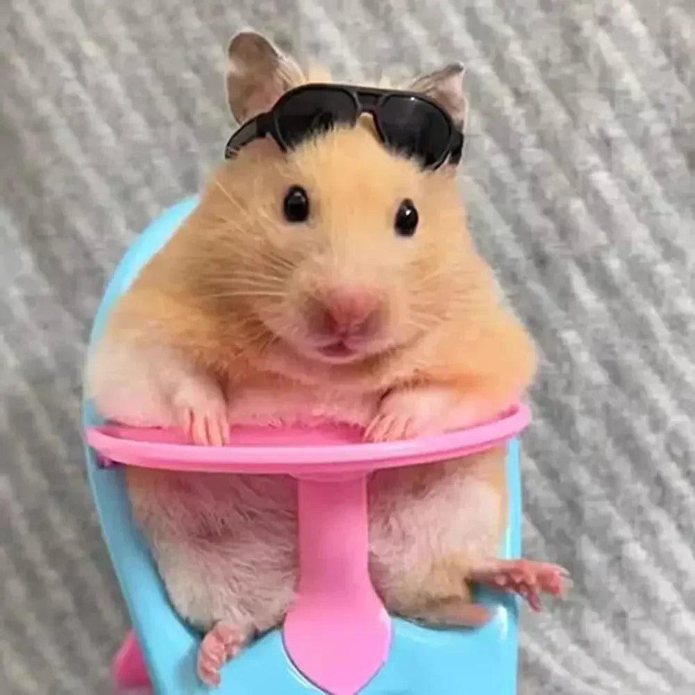 Wholesale Bulk Pet Mini Feeding Chair Dining Chair Pet Accessories Photo Props for Hamster Guinea Pig Hedgehogs - Furbury