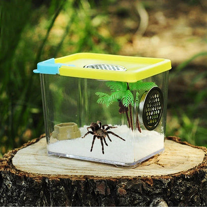 Wholesale Bulk Reptile Breeding Box Clear Acrylic Reptile Feeding Box Insect Box Mantis Breeding Insect Reptile Cage Terrarium Terrarium - Furbury