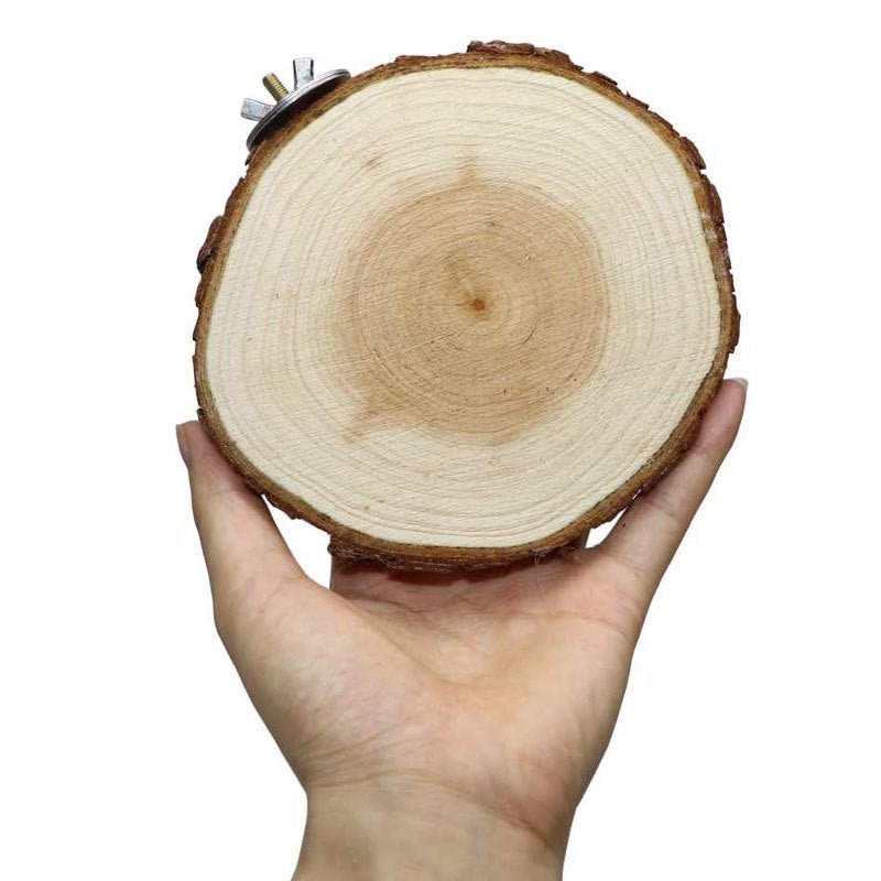 Wholesale Bulk Round Wooden Squirrel Parrot Bird Perch Stand Platform Pet Bird Squirrel Chinchilla Parrot Wooden Pier Diving Platform - Furbury