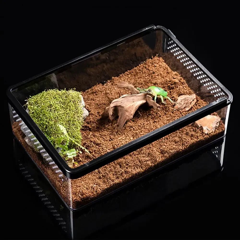 Wholesale Bulk Transparent Reptile Feeding Boxs Amphibian Insect Reptile Breeding Box Ventilated Hatching Container Reptile Terrarium Tanks - Furbury